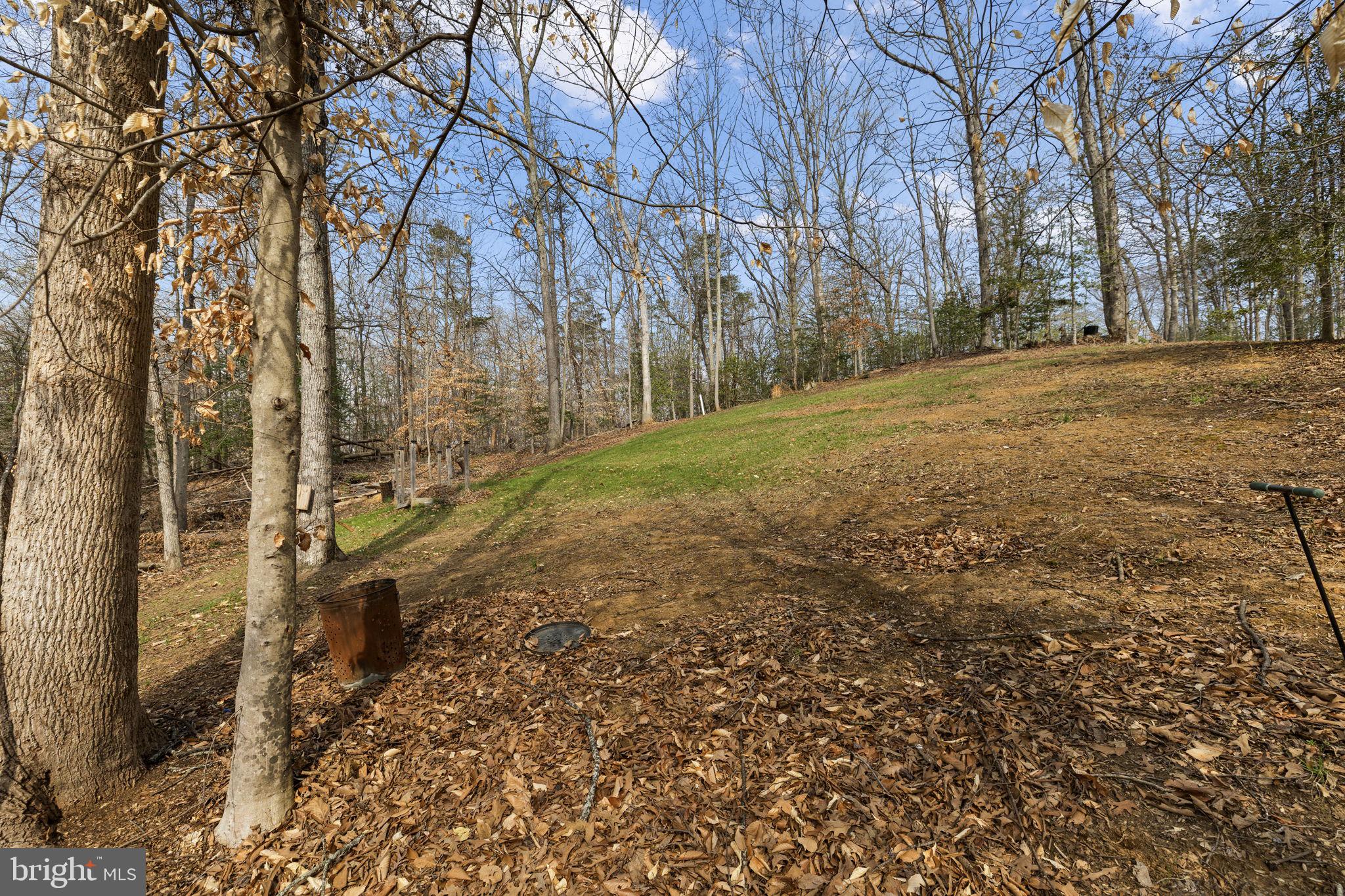 476 Decatur Road Stafford, VA 22554 - Photo 52 of 62 A great amount of yard space