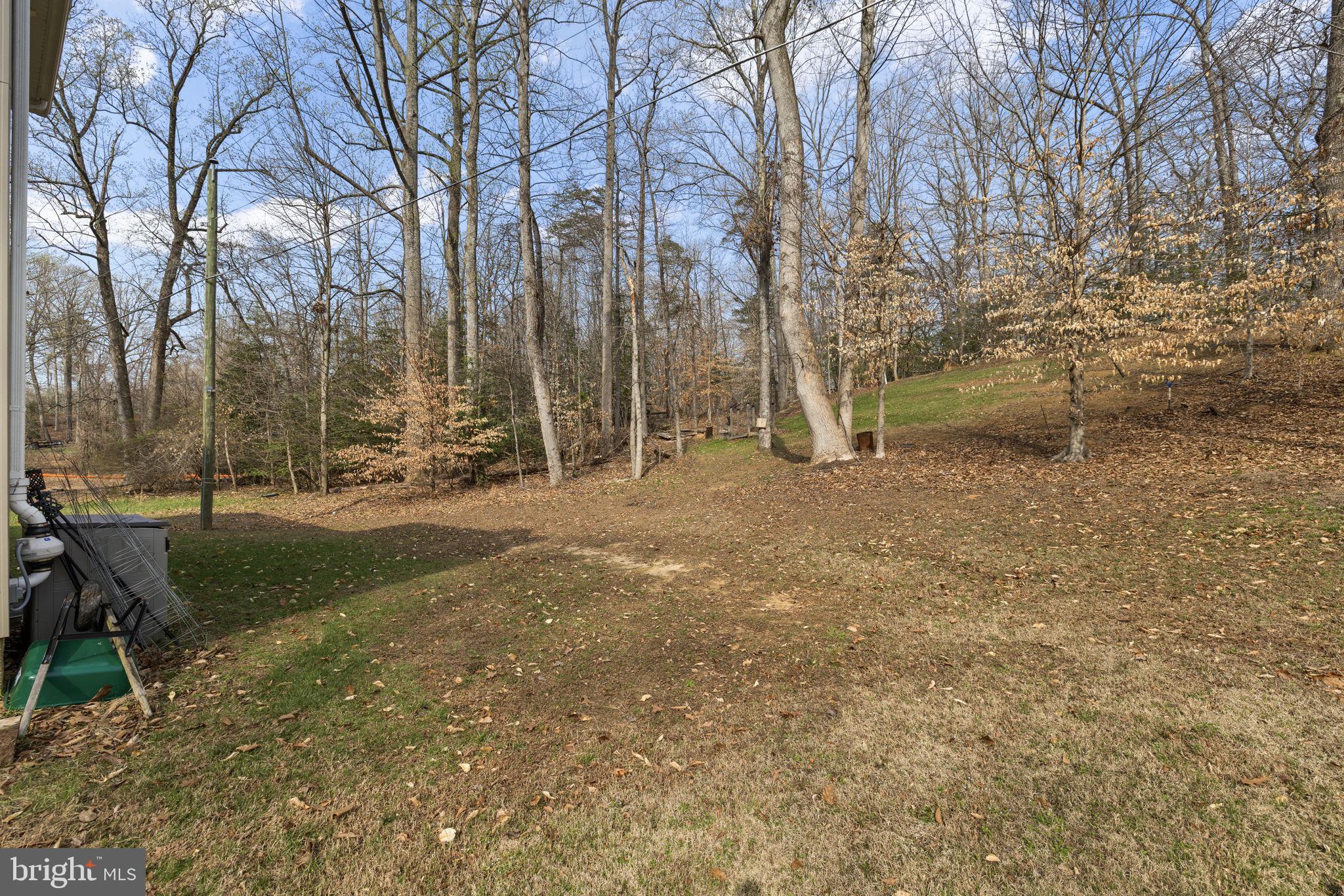 476 Decatur Road Stafford, VA 22554 - Photo 53 of 62 Lots of mature trees surrounding the property