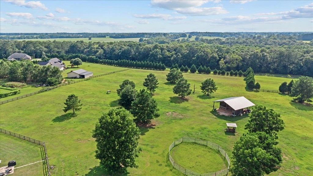 3115 Cumbie Road Newton, AL 36352 - Photo 51 of 61
