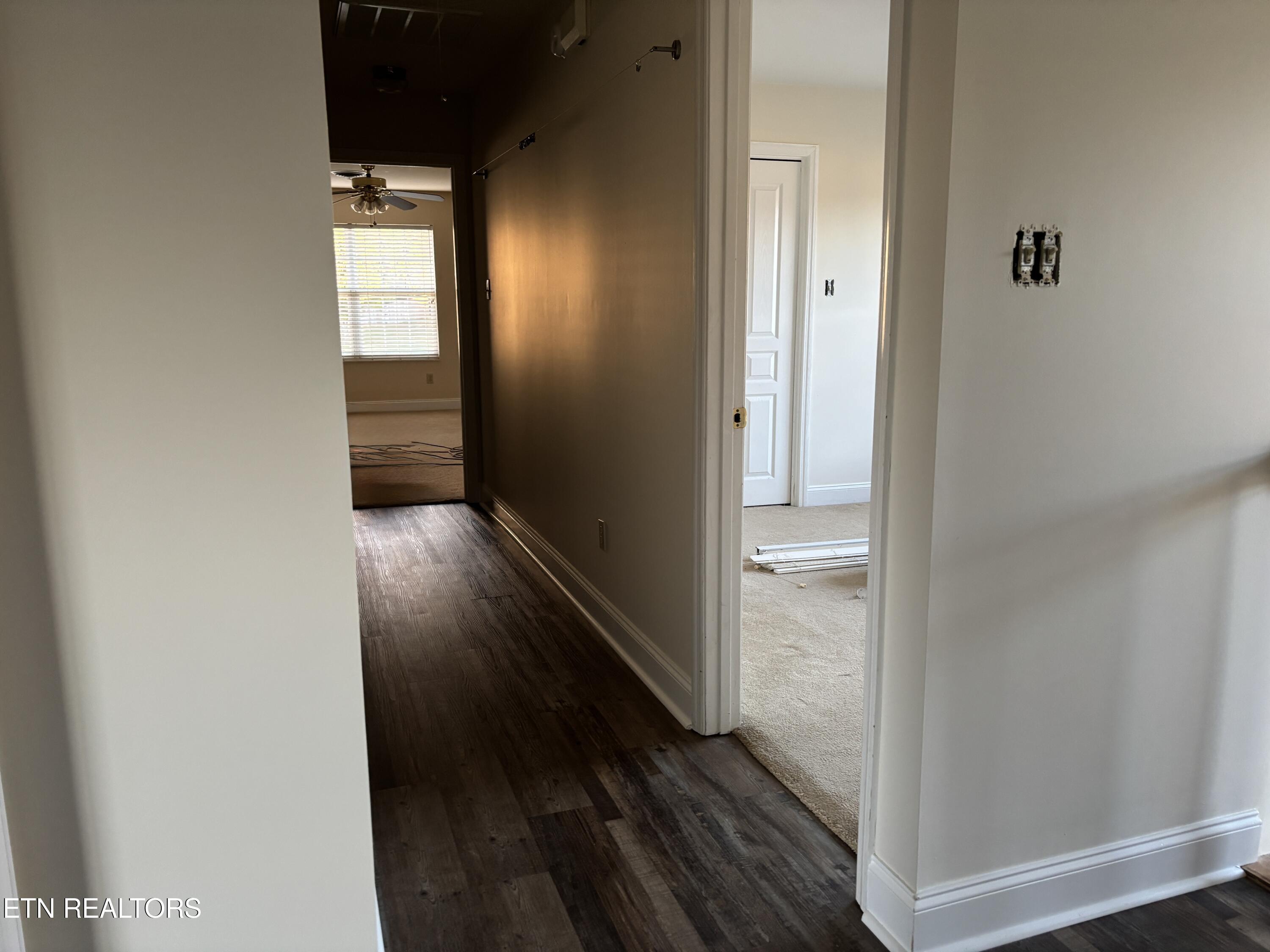 1365 Wineberry Road Powell, TN 37849 - Photo 37 of 43 IMG_3289