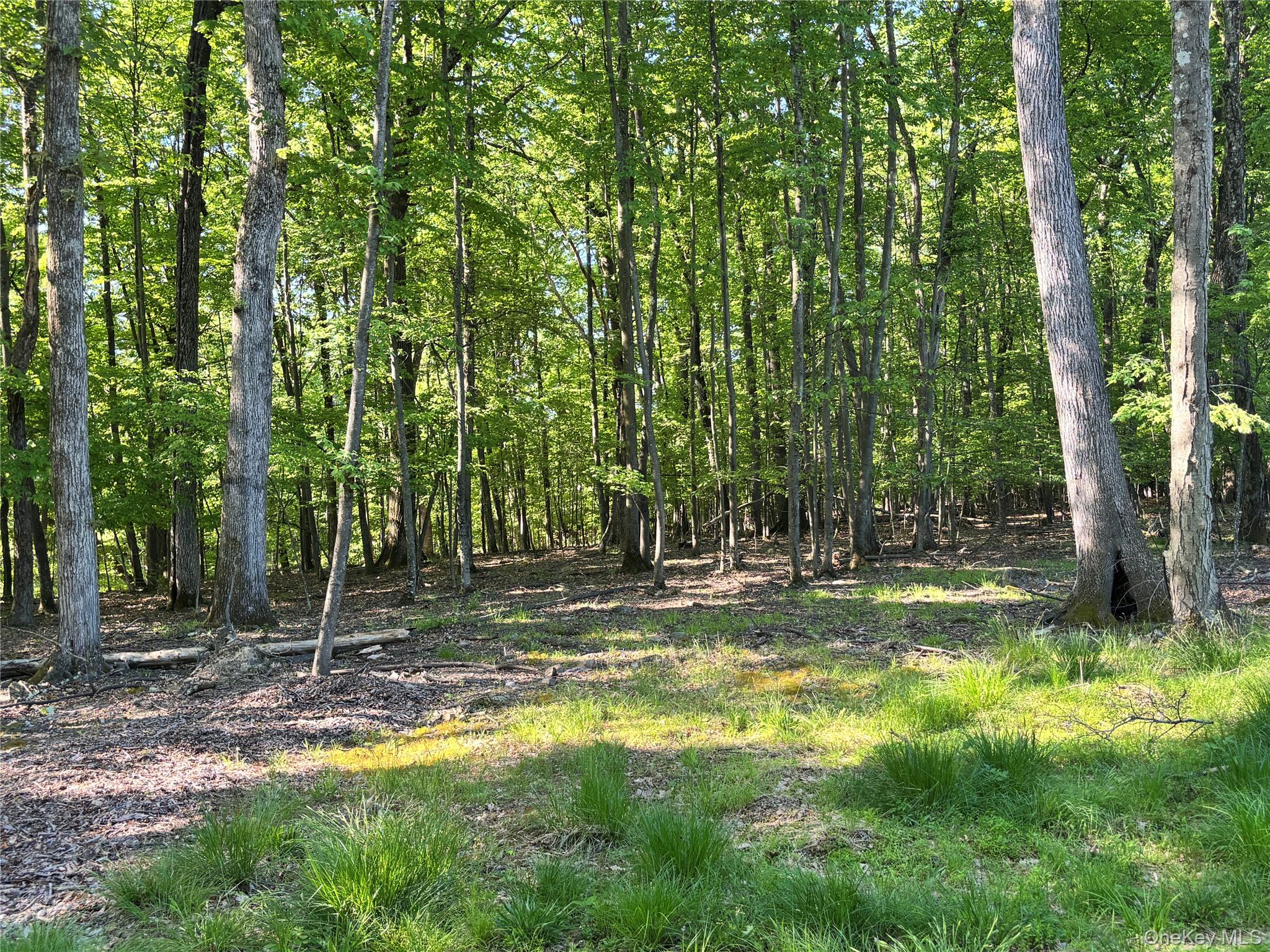 South Plank Road Westtown, NY 10998 - Photo 9 of 14