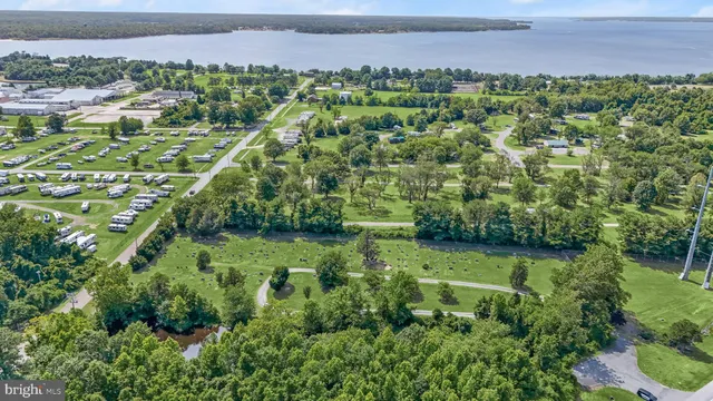 a view of a city with lush green forest