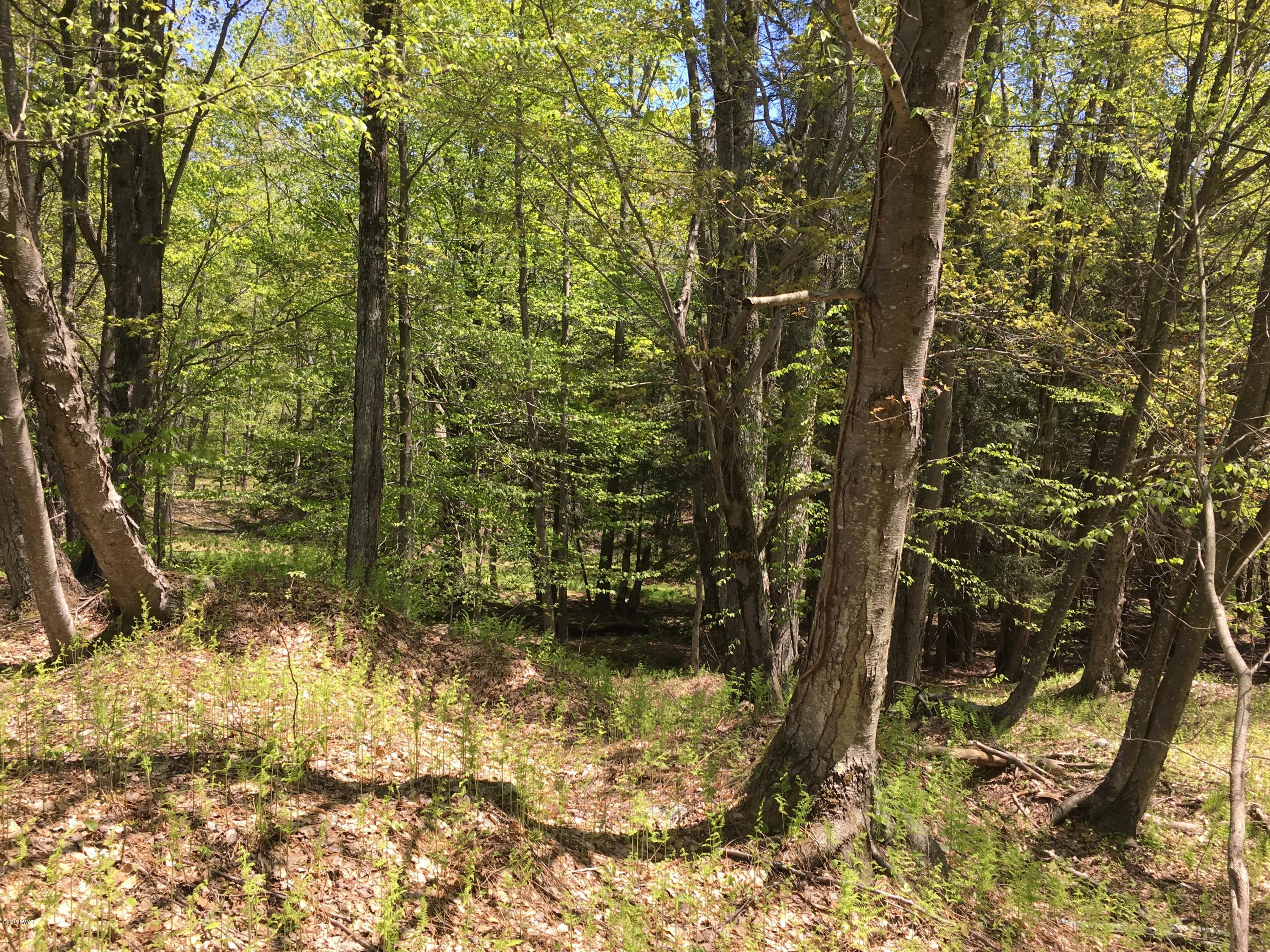Dillmuth Road Honesdale, PA 18431 - Photo 2 of 6