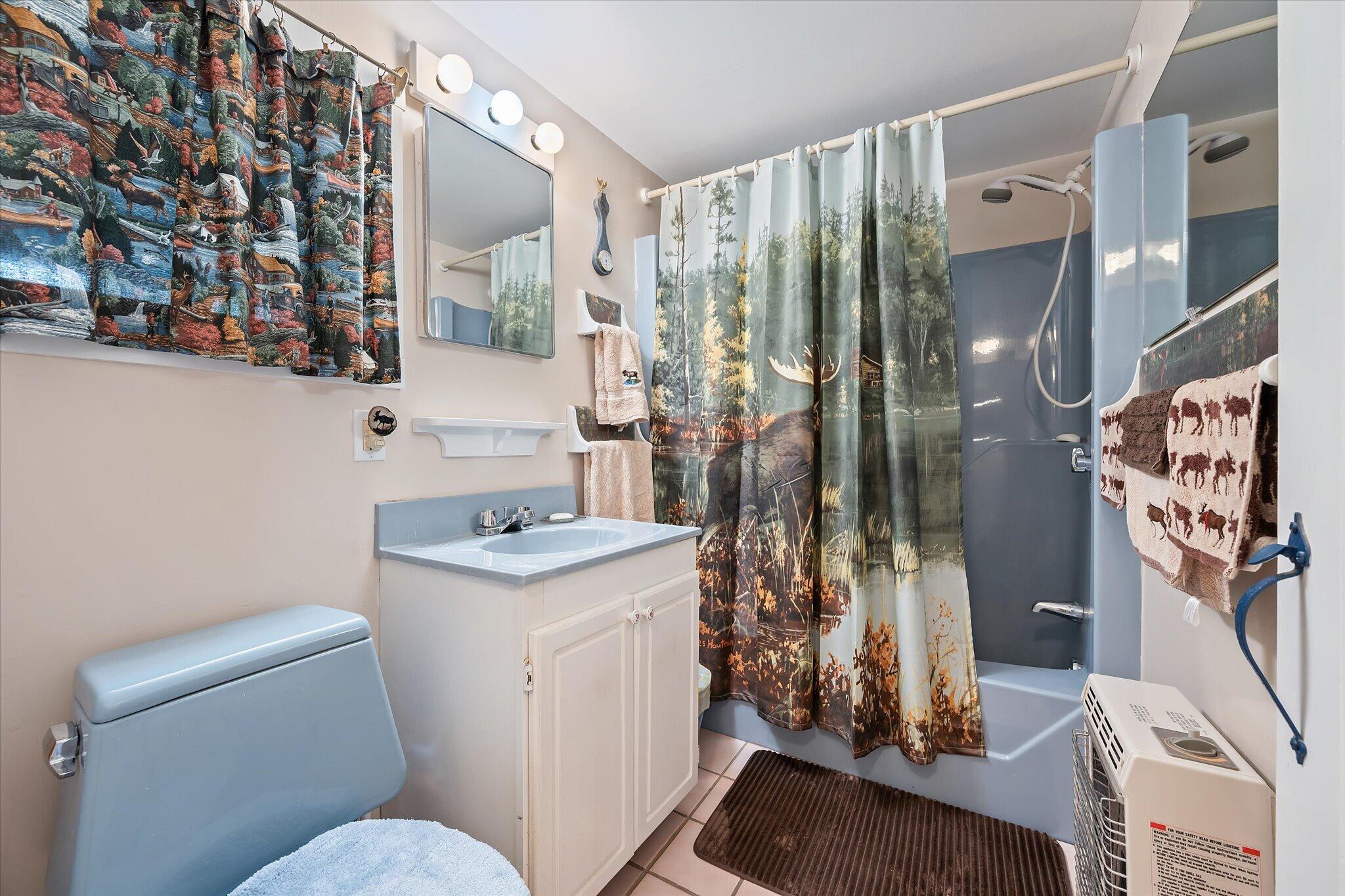 226 Cards Ridge Road Greenbush, ME 04418 - Photo 21 of 51 19-Bathroom