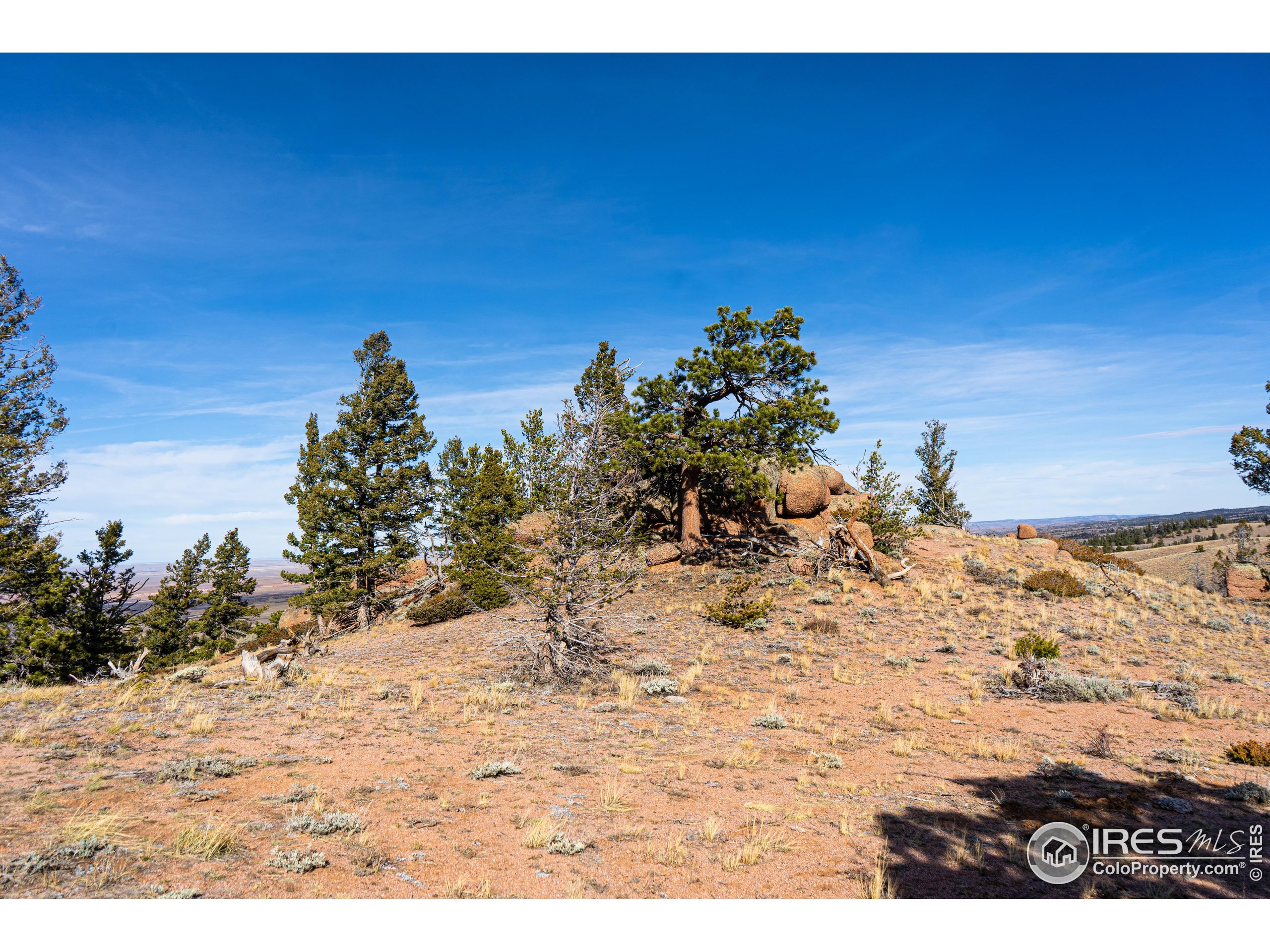 0 Wilderness Ranch Road Livermore, CO 80536 - Photo 11 of 16 a view of a dry yard with wooden fence