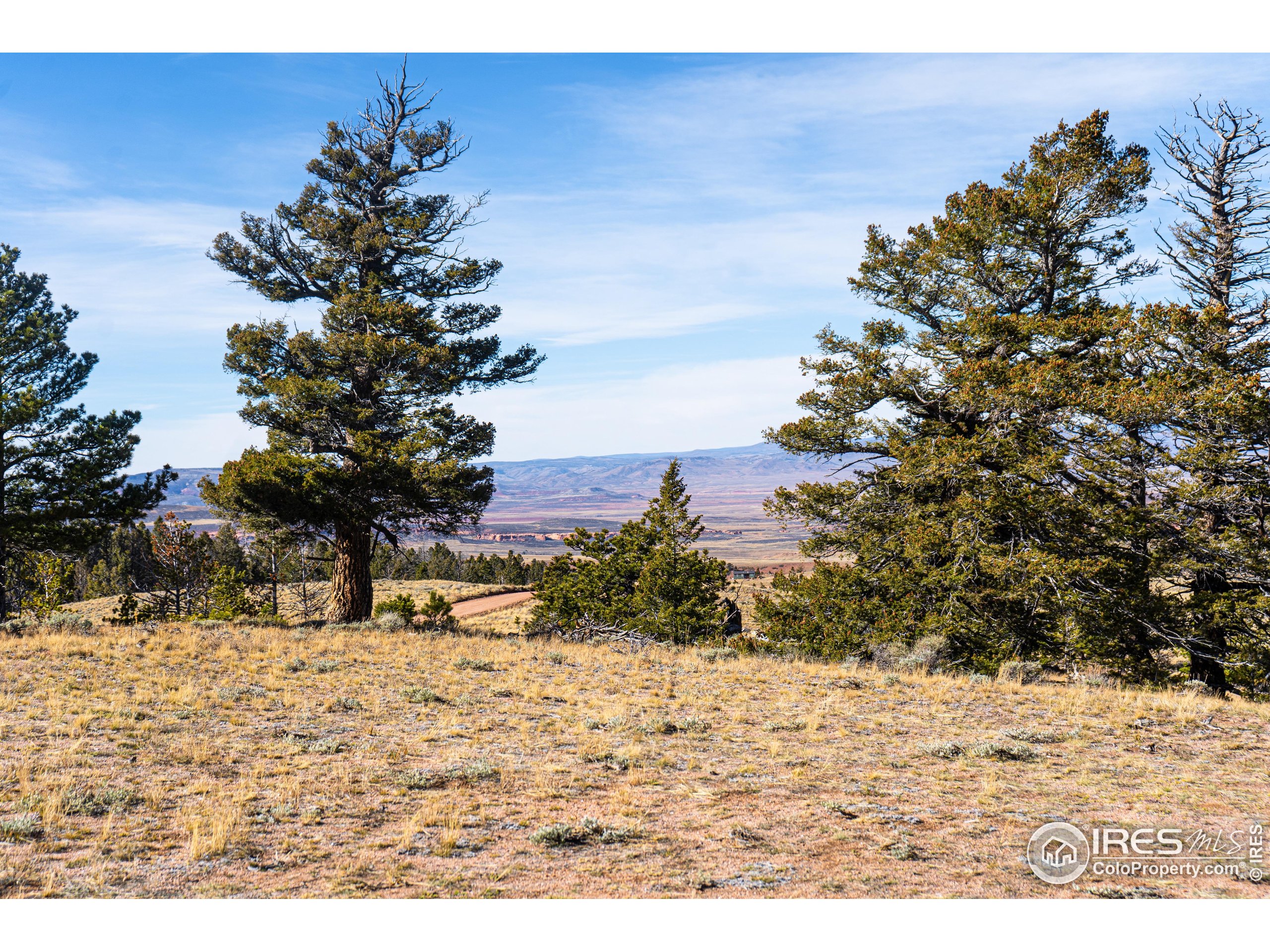 0 Wilderness Ranch Road Livermore, CO 80536 - Photo 2 of 16 a view of outdoor space yard and blue