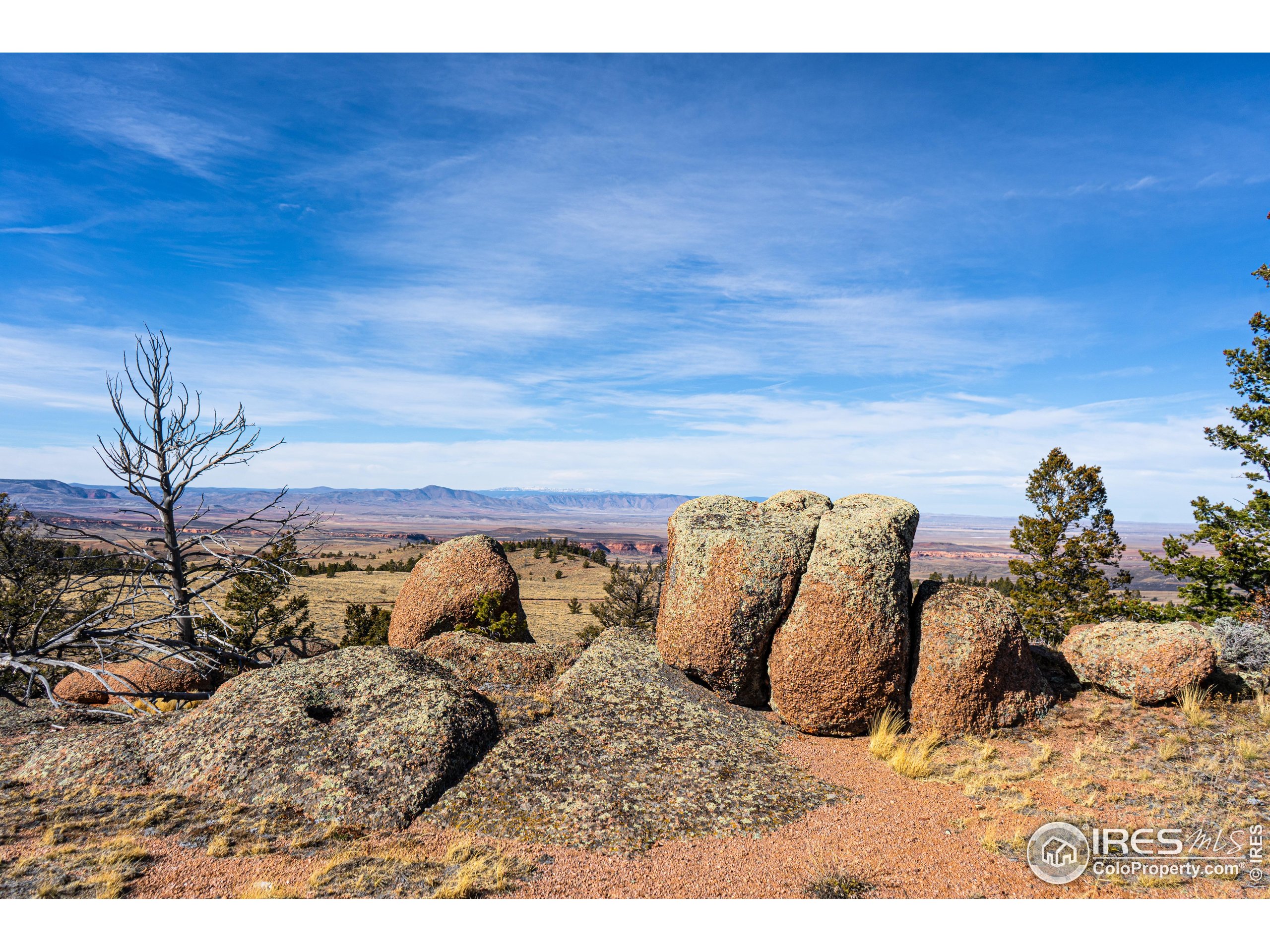 0 Wilderness Ranch Road Livermore, CO 80536 - Photo 5 of 16 a bed sitting in a bedroom next to a lamp