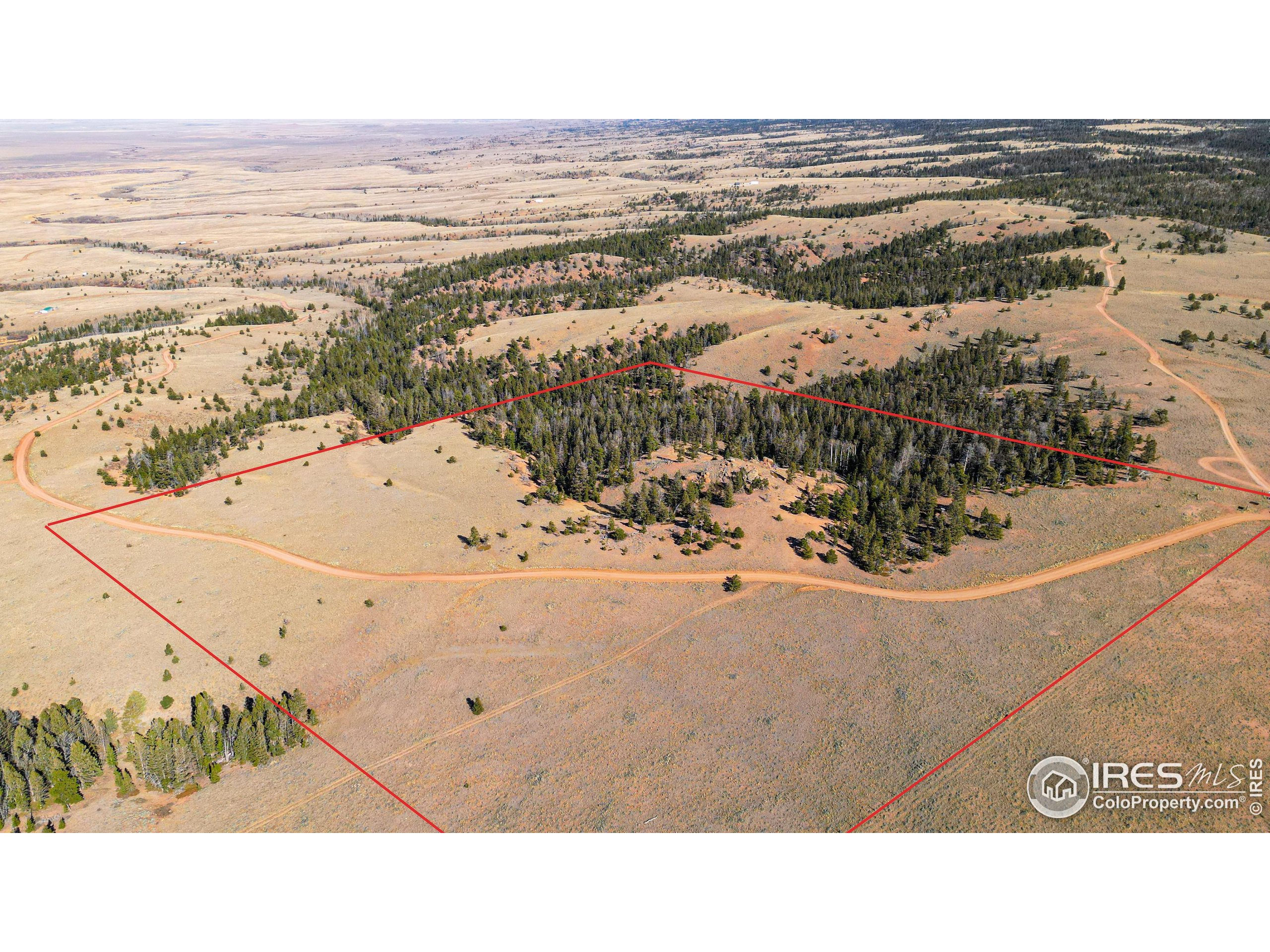 0 Wilderness Ranch Road Livermore, CO 80536 - Photo 10 of 16 a black and white photo of a beach