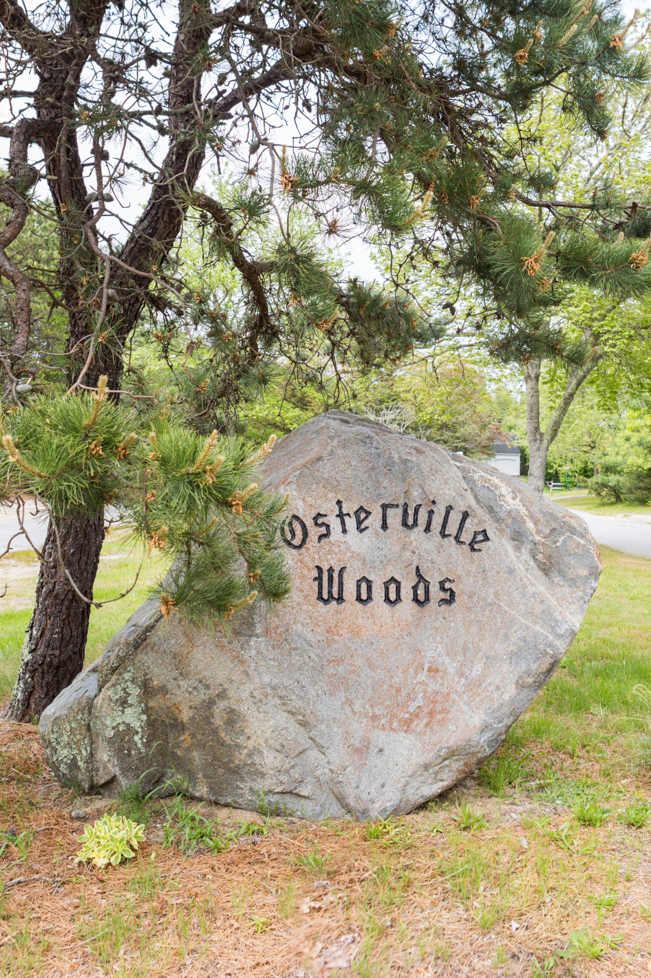 69 Gunstock Road Osterville, MA 02655 - Photo 16 of 17 69Gunstock-0562