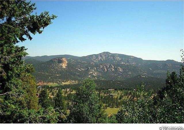 403 Forest Ridge Road Pine, CO 80470 - Photo 27 of 35 Gallery Image 27