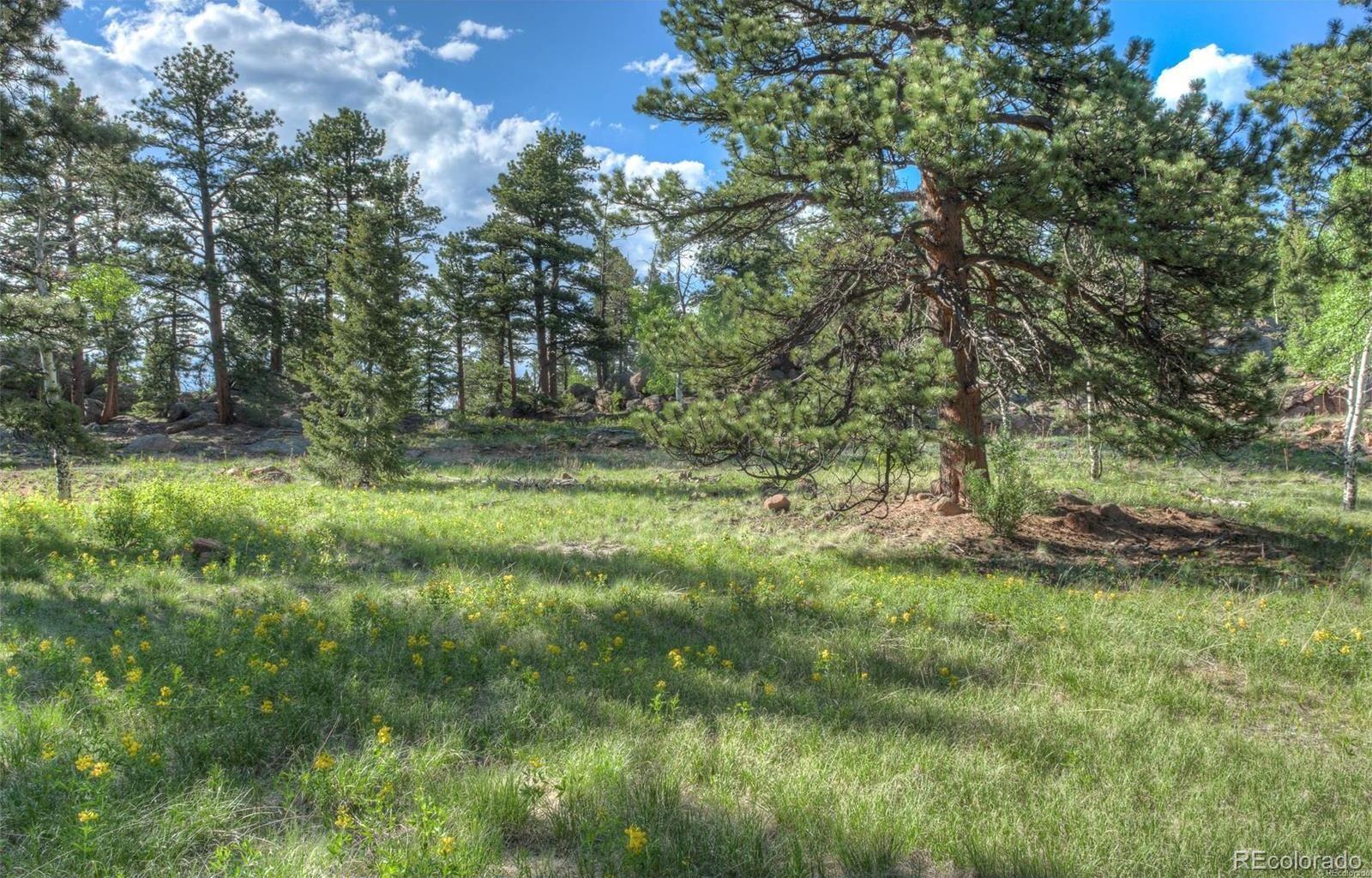 403 Forest Ridge Road Pine, CO 80470 - Photo 30 of 35 Gallery Image 30