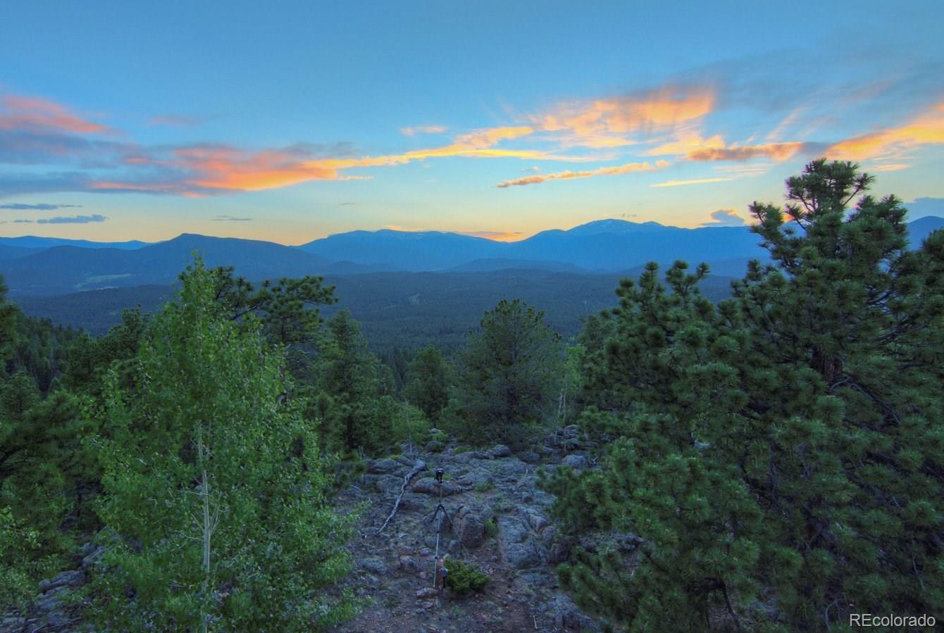 403 Forest Ridge Road Pine, CO 80470 - Photo 3 of 35 Gallery Image 3
