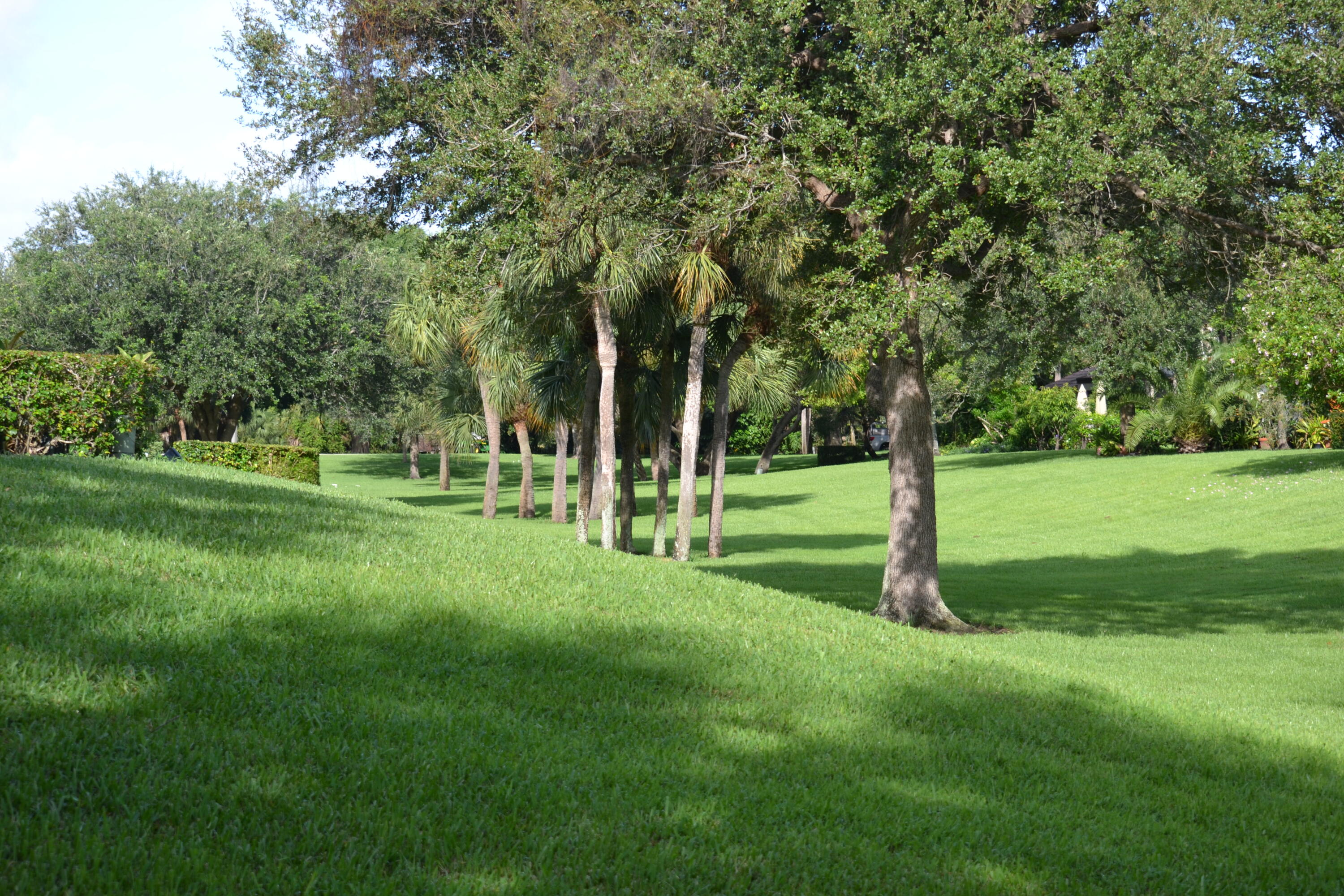 3191 Leewood Terrace, Unit 238 Boca Raton, FL 33431 - Photo 19 of 27 Open Green Space