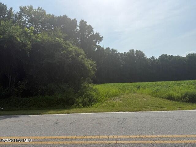 Tbd Tbd Wise Store Road Murfreesboro, NC 27855 - Photo 2 of 2 lot 4