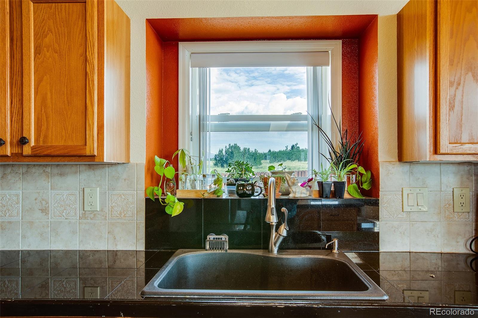 119 Bristlecone Lane Fairplay, CO 80440 - Photo 42 of 49 a room with a window a sink and potted plant