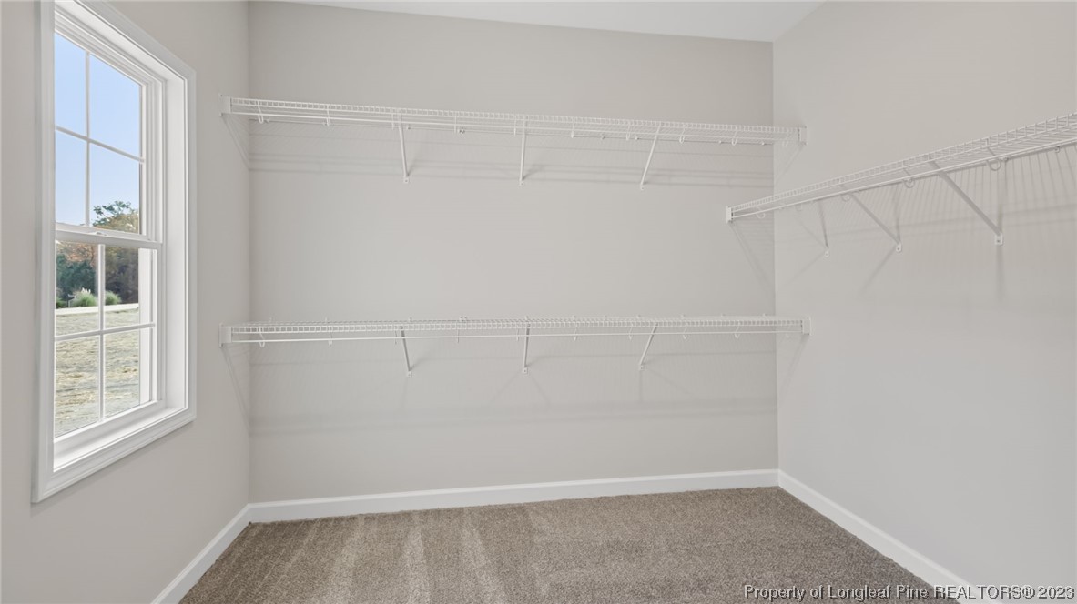 330 Buffalo Creek Road Raeford, NC 28376 - Photo 29 of 50 Gallery Image 29