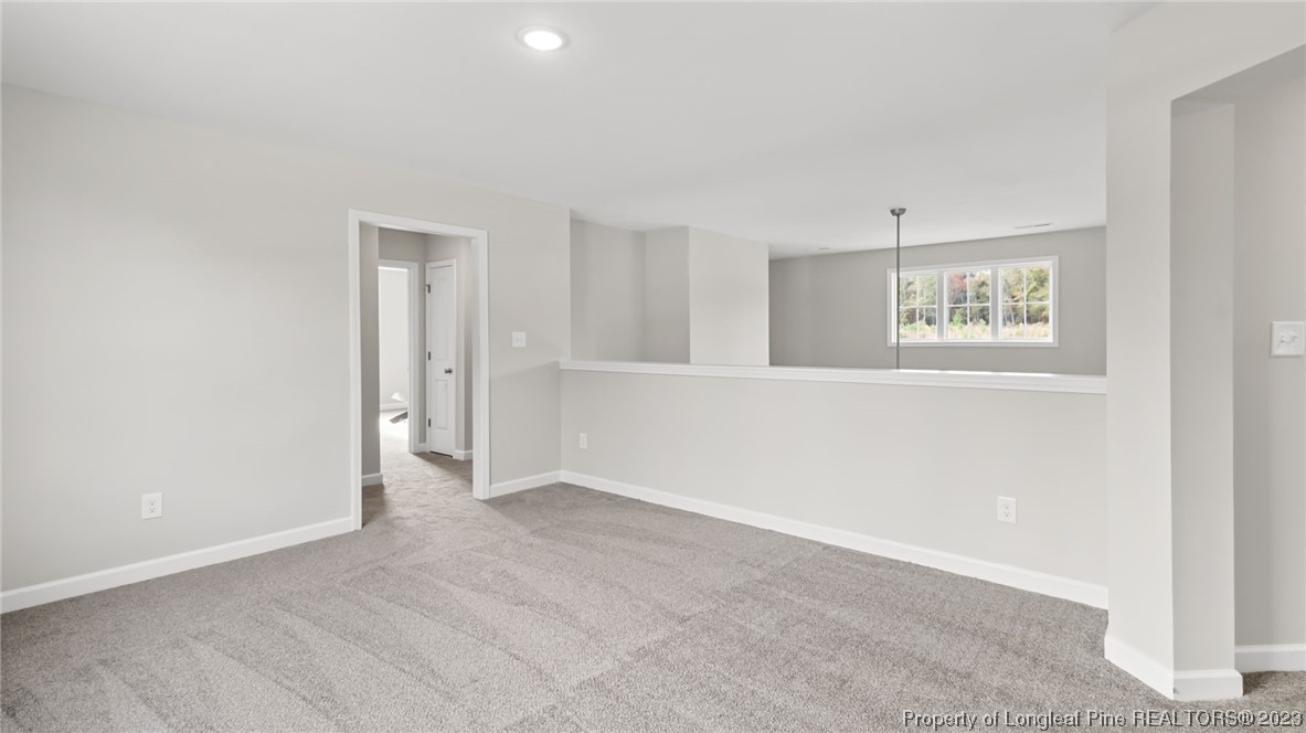 330 Buffalo Creek Road Raeford, NC 28376 - Photo 42 of 50 Gallery Image 42