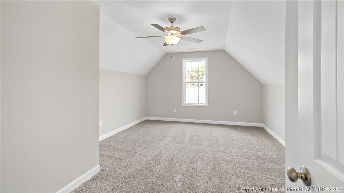 330 Buffalo Creek Road Raeford, NC 28376 - Photo 48 of 50 Gallery Image 48
