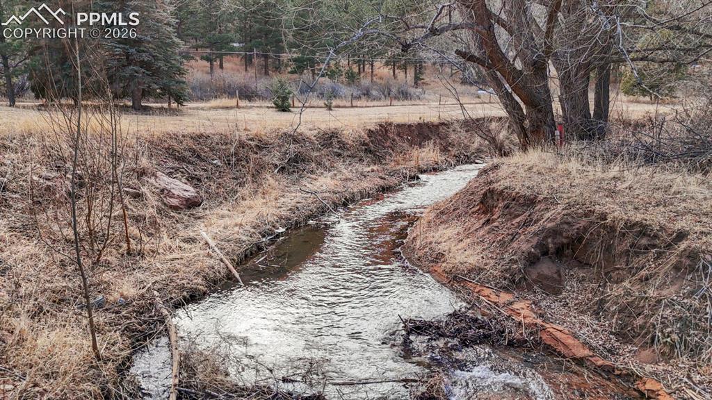 9297 Chipita Park Road Cascade, CO 80809 - Photo 14 of 25 a view of a yard with trees