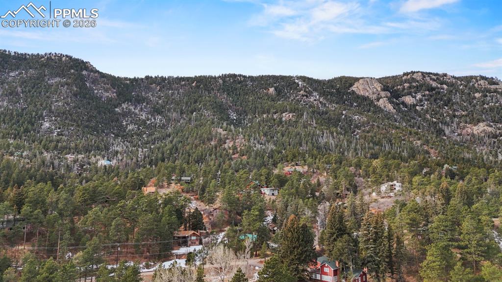 9297 Chipita Park Road Cascade, CO 80809 - Photo 15 of 20