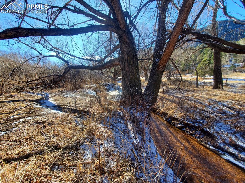 9297 Chipita Park Road Cascade, CO 80809 - Photo 20 of 20