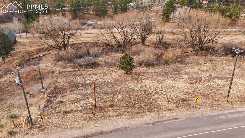 9297 Chipita Park Road Cascade, CO 80809 - Photo 22 of 25 a view of a dry yard with trees