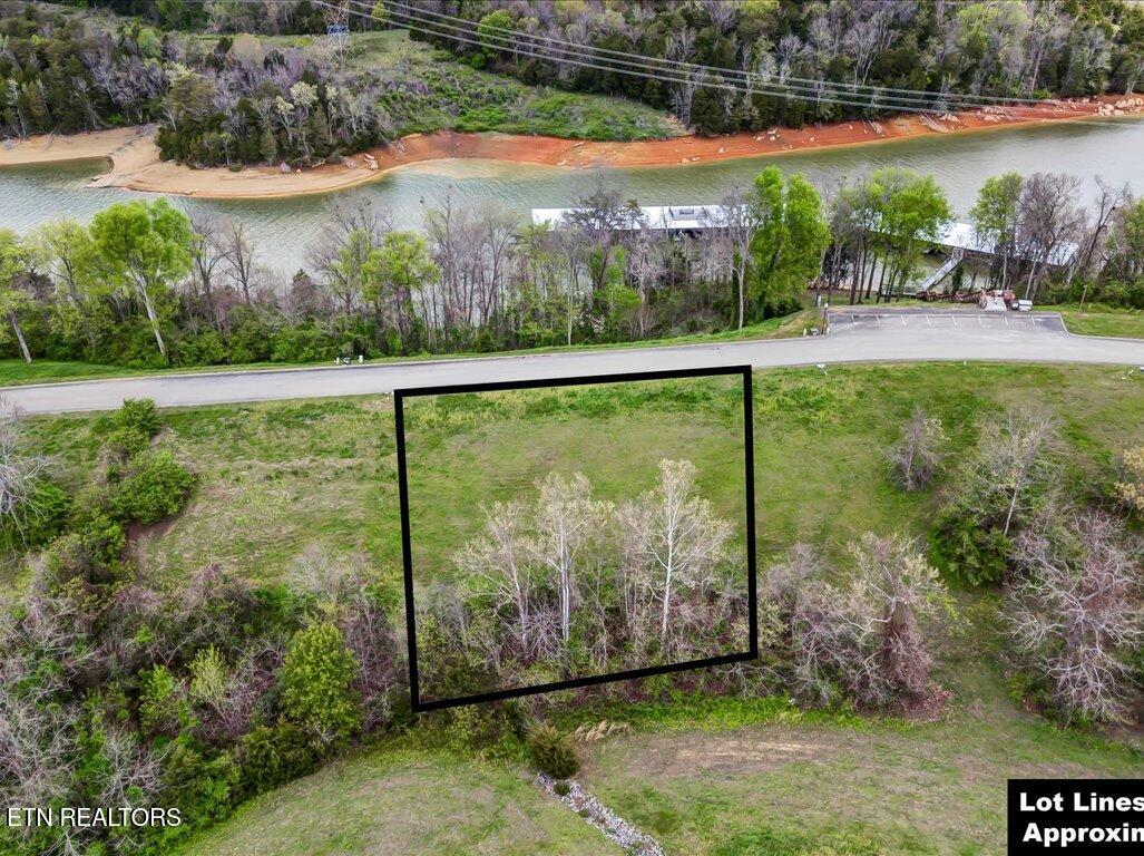 2073 Turner Landing Road Russellville, TN 37860 - Photo 11 of 25 2073 Turners Landing Rd - 11