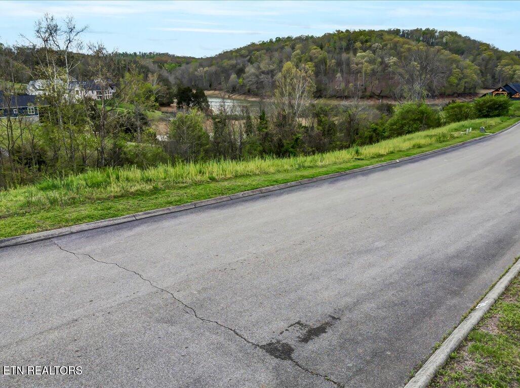 2073 Turner Landing Road Russellville, TN 37860 - Photo 6 of 25 2073 Turners Landing Rd - 6