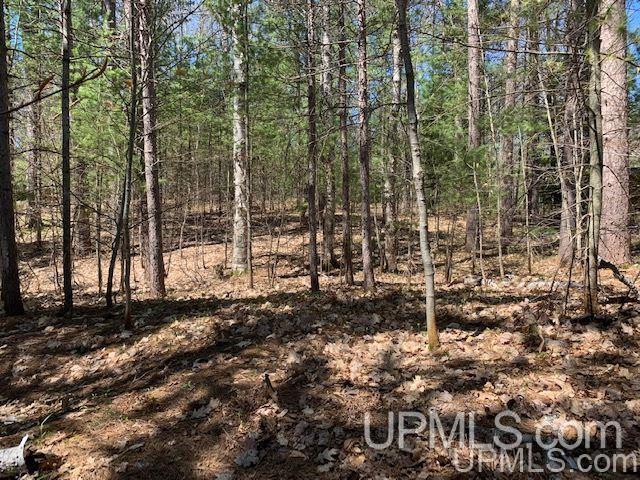 Lot 5 West Lost Lake Road Wetmore, MI 49862 - Photo 8 of 12