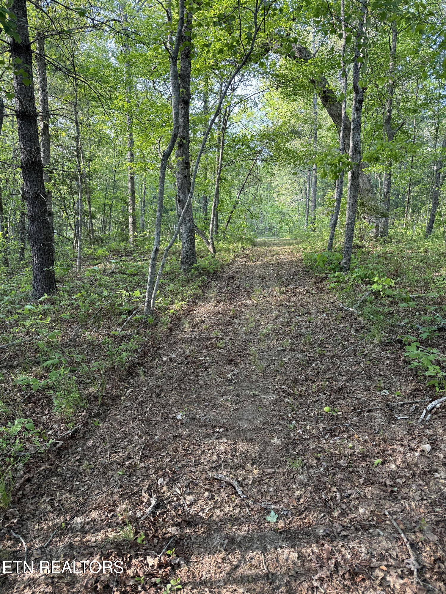 0 Genesis Road Crossville, TN 38555 - Photo 6 of 15