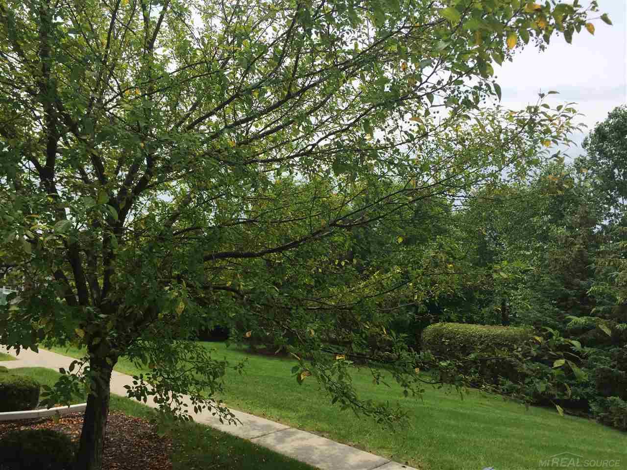 1855 Flagstone Circle Rochester, MI 48307 - Photo 5 of 21