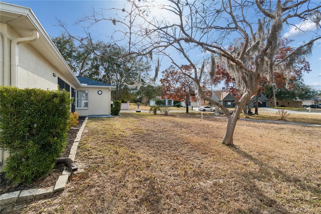 407 Montpelier Court Spring Hill, FL 34608 - Photo 64 of 83