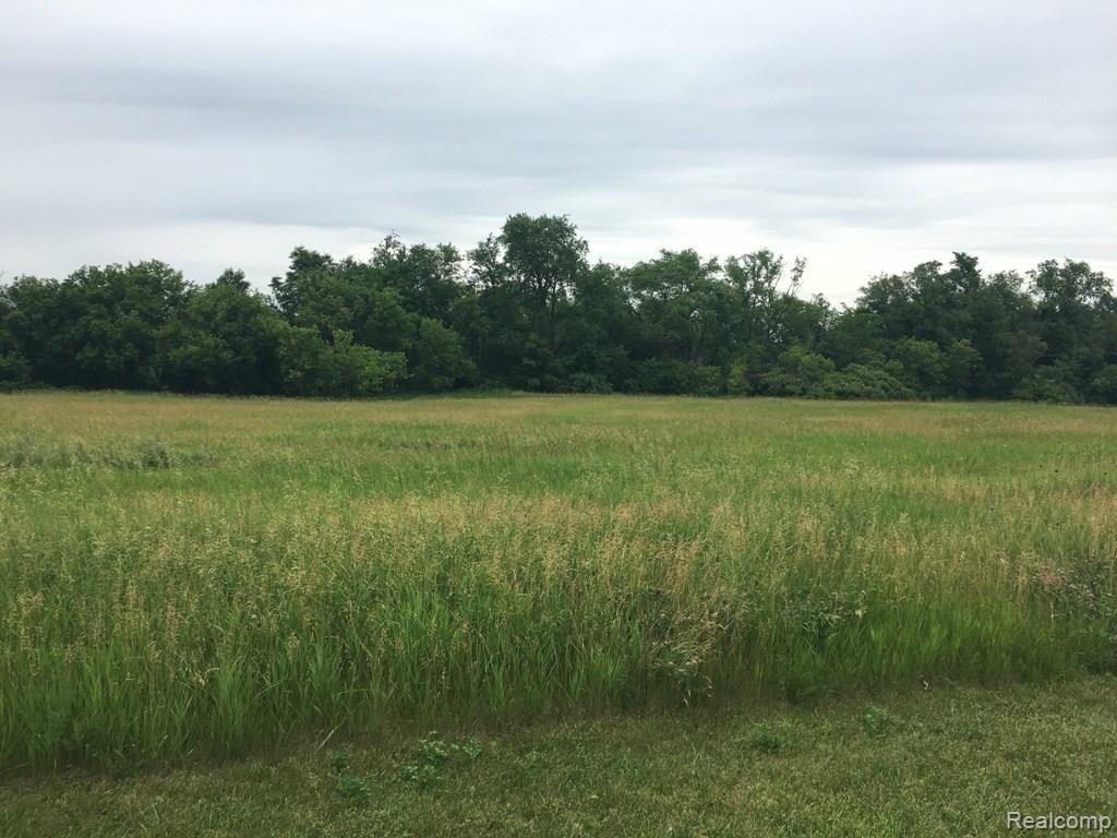 Unit 7 Hayridge Lane Howell, MI 48855 - Photo 1 of 5
