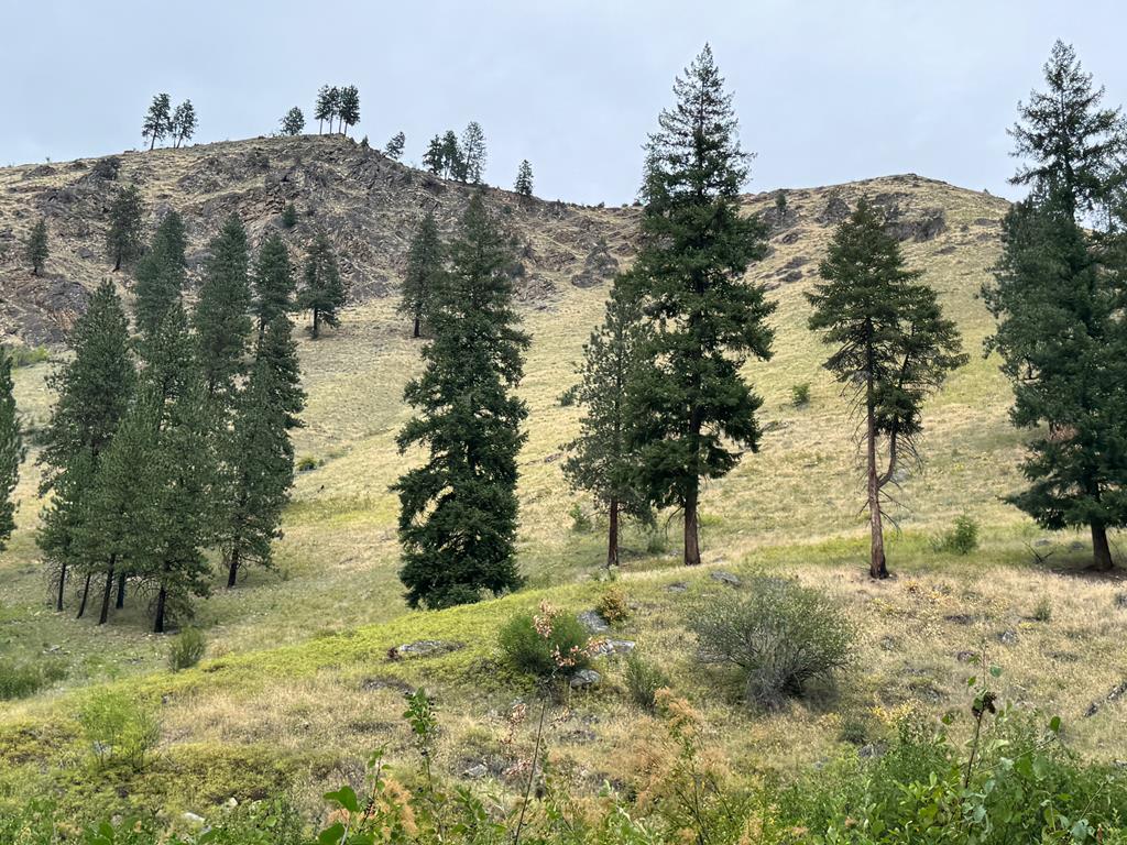 0 Salmon River Road Riggins, ID 83549 - Photo 7 of 12