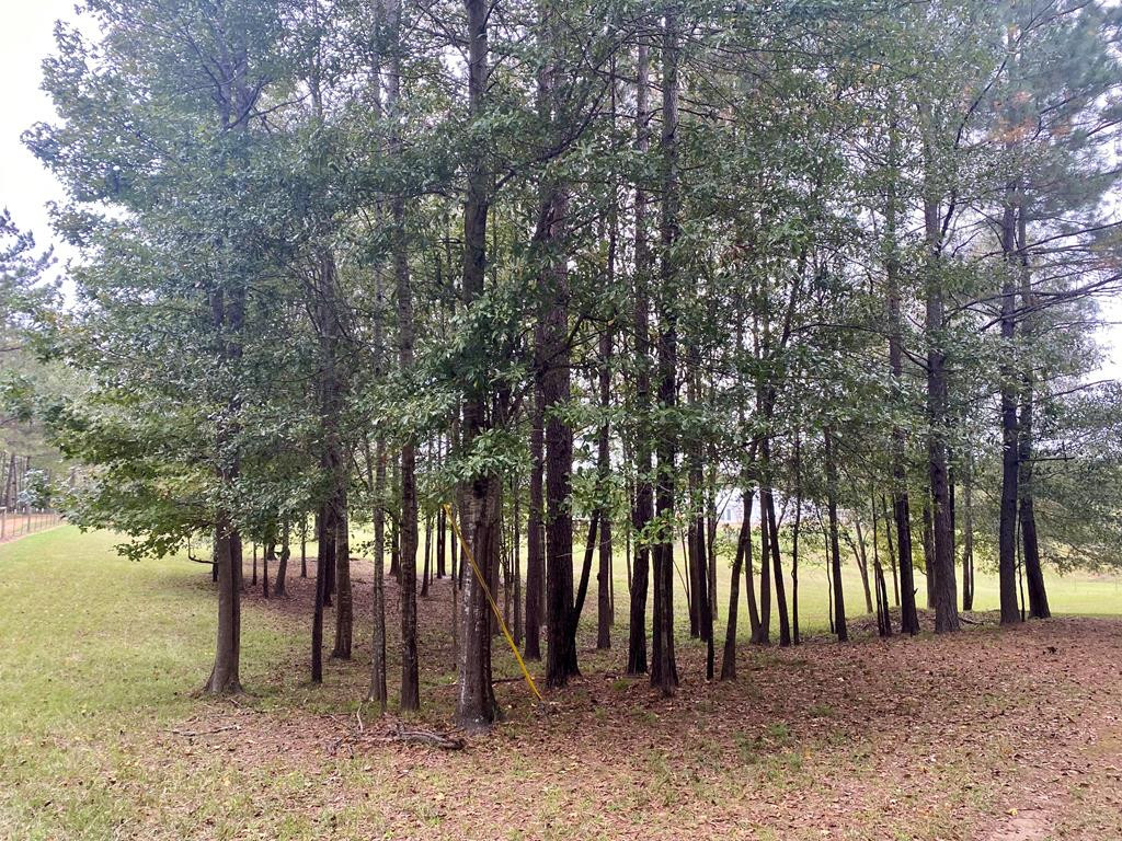 2103 Barner Road Wesson, MS 39191 - Photo 58 of 71 Photo 58