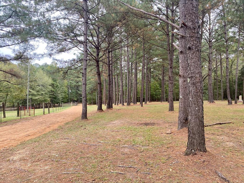 2103 Barner Road Wesson, MS 39191 - Photo 59 of 71 Photo 59
