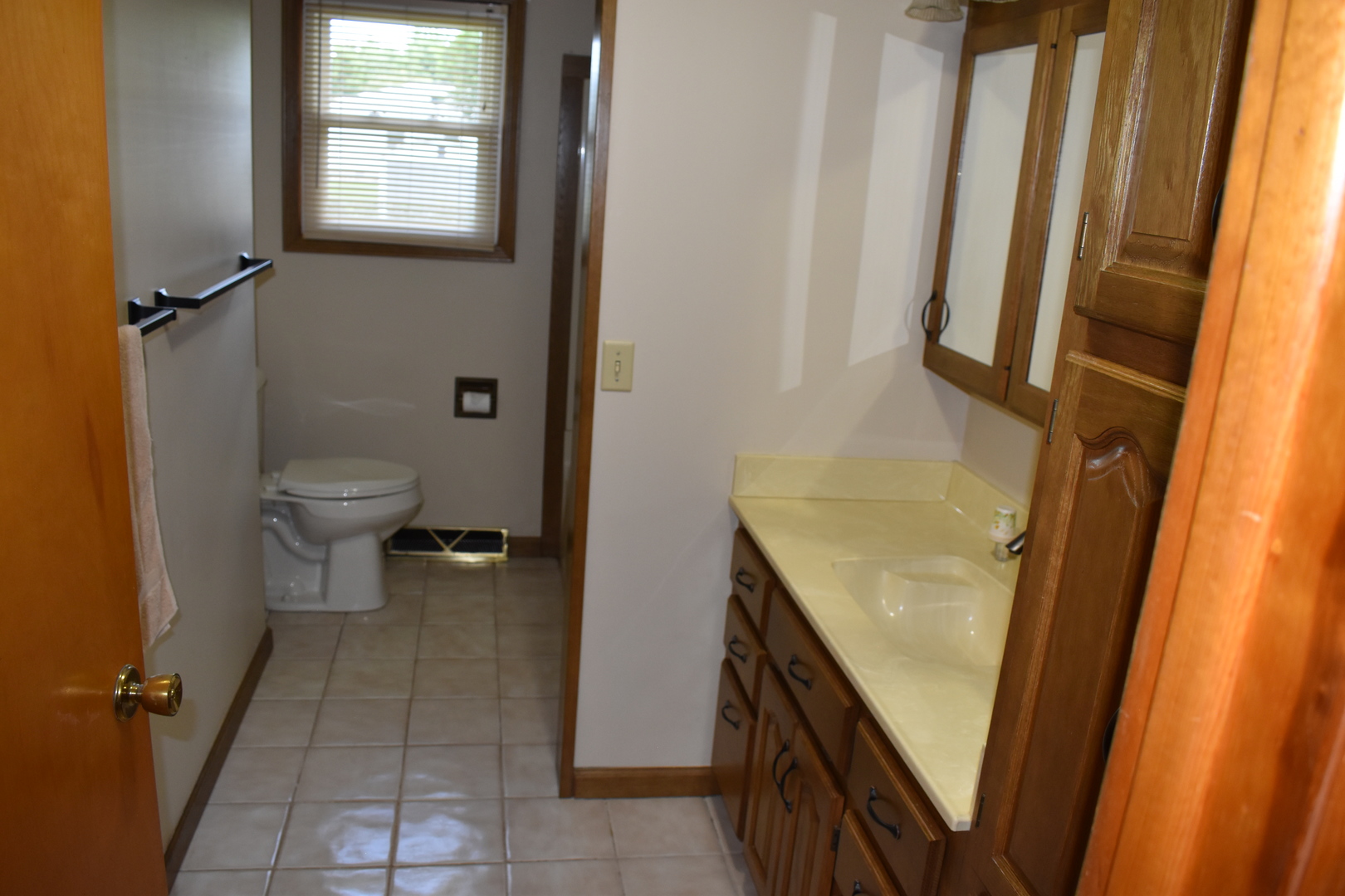 301 East Ririe Place Flanagan, IL 61740 - Photo 17 of 28