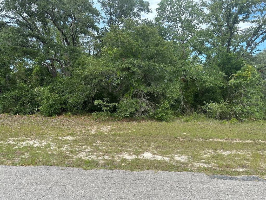 0 Southwest 144th St Road Ocala, FL 34473 - Photo 1 of 1 a view of a field with an trees