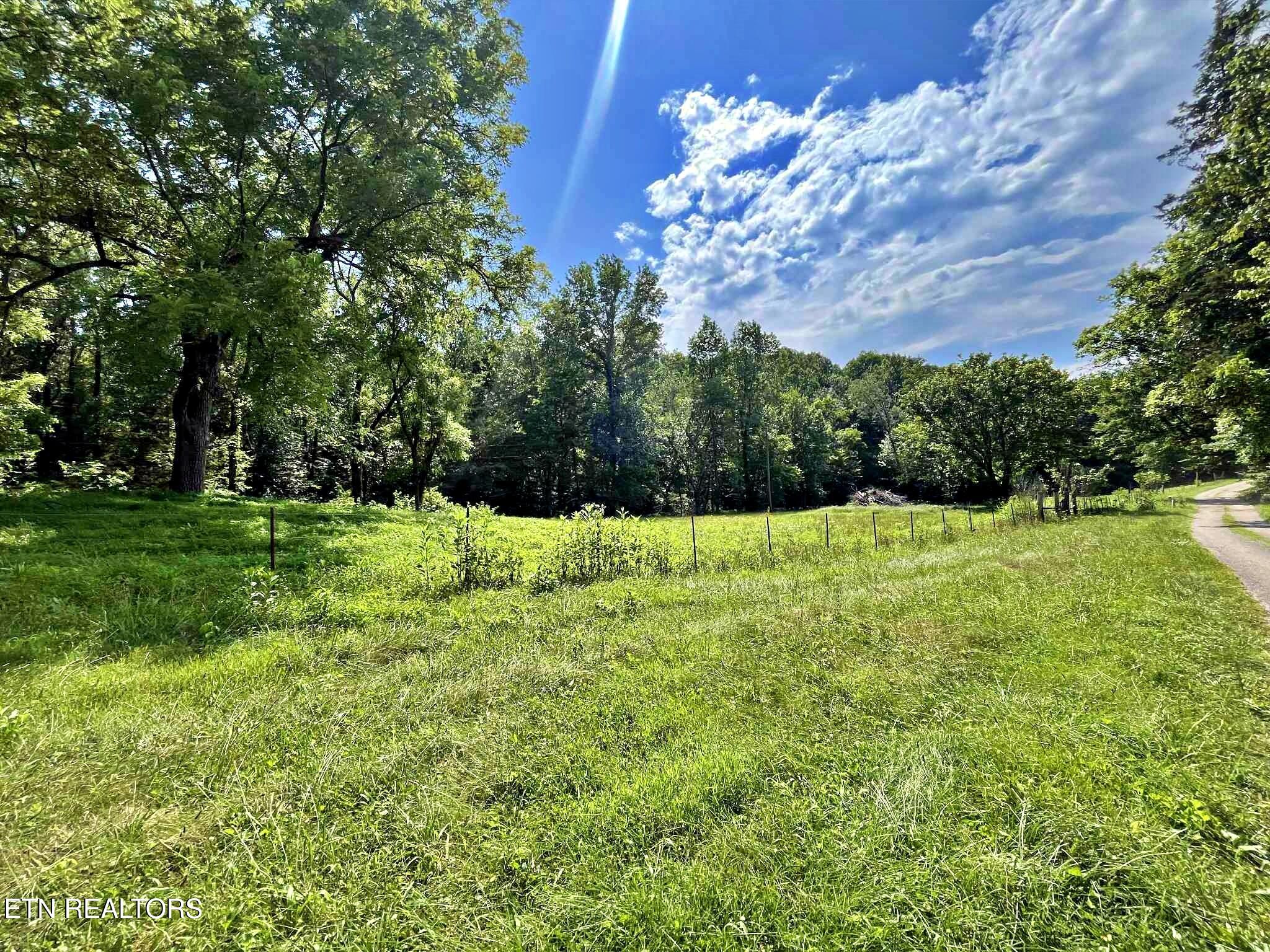 Lot 7 Raby Hollow Road Kingston, TN 37763 - Photo 1 of 12 771b2e1a-6e7f-444d-a01b-8efd2f491491