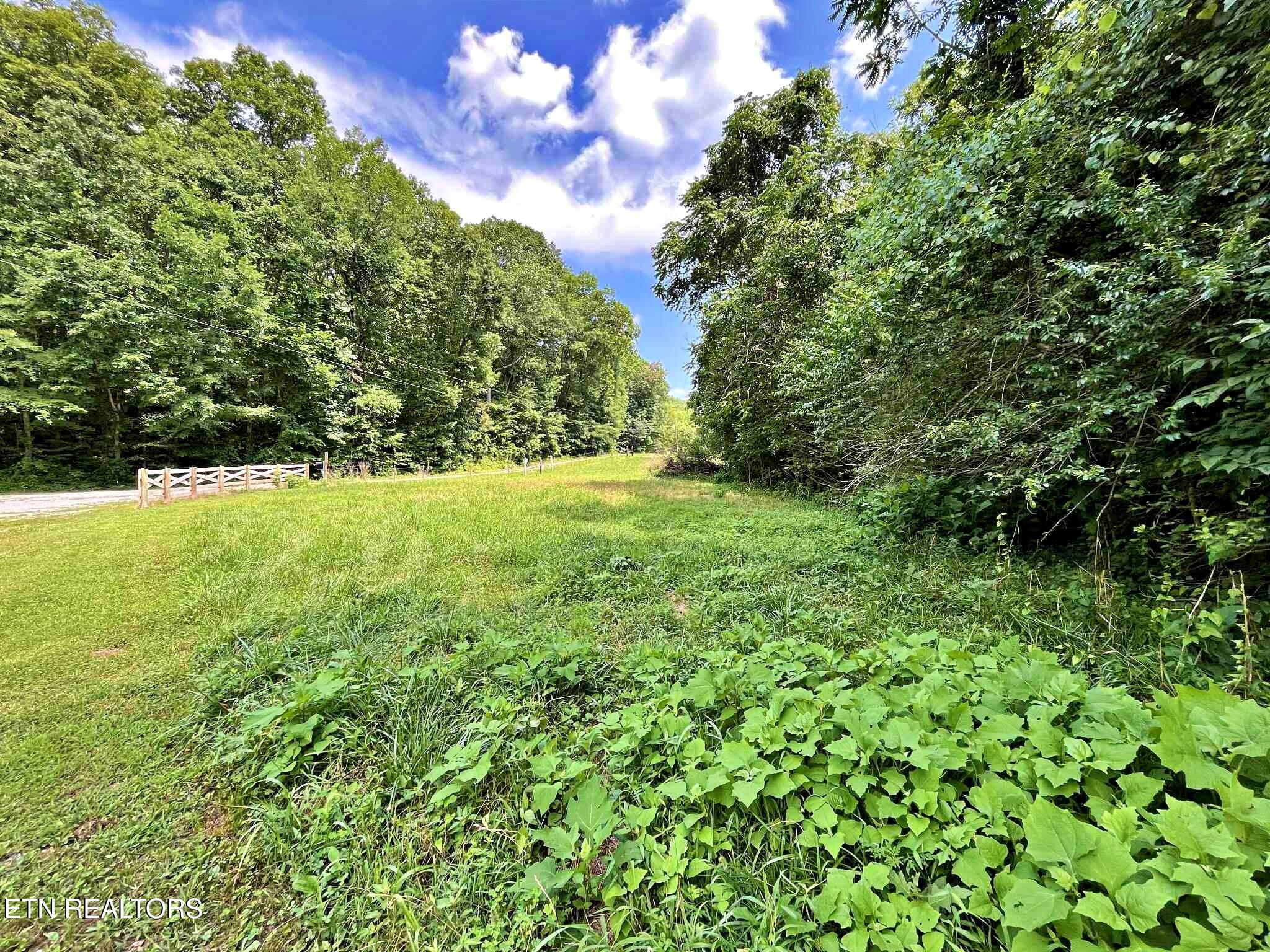 Lot 7 Raby Hollow Road Kingston, TN 37763 - Photo 2 of 12 d17d643c-0273-4498-87df-eca7251138eb