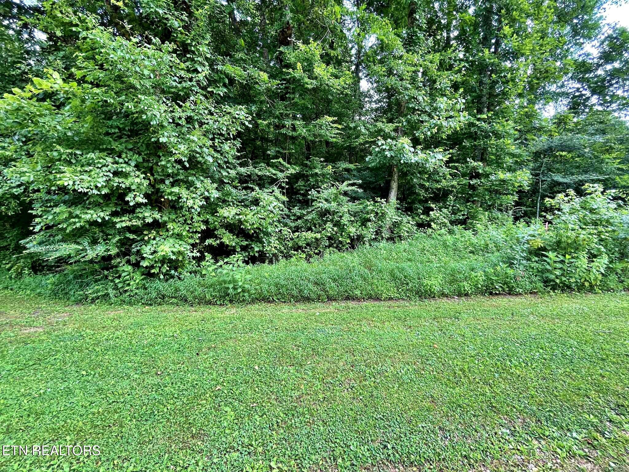 Lot 7 Raby Hollow Road Kingston, TN 37763 - Photo 3 of 12 d0fc809a-93ad-40f6-807f-37d3c0ee978f