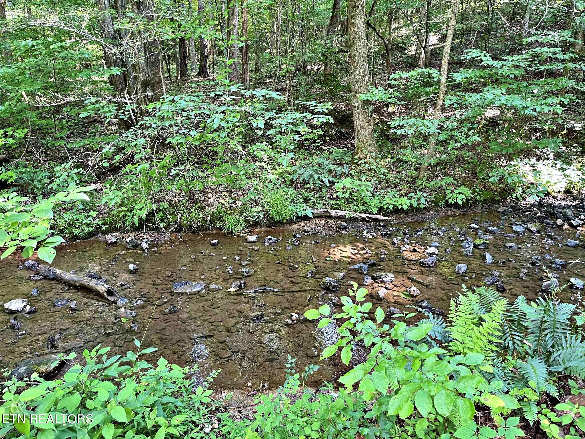 Lot 7 Raby Hollow Road Kingston, TN 37763 - Photo 4 of 12 8caf130d-7eda-4c15-a99f-3bbe2a9a096b