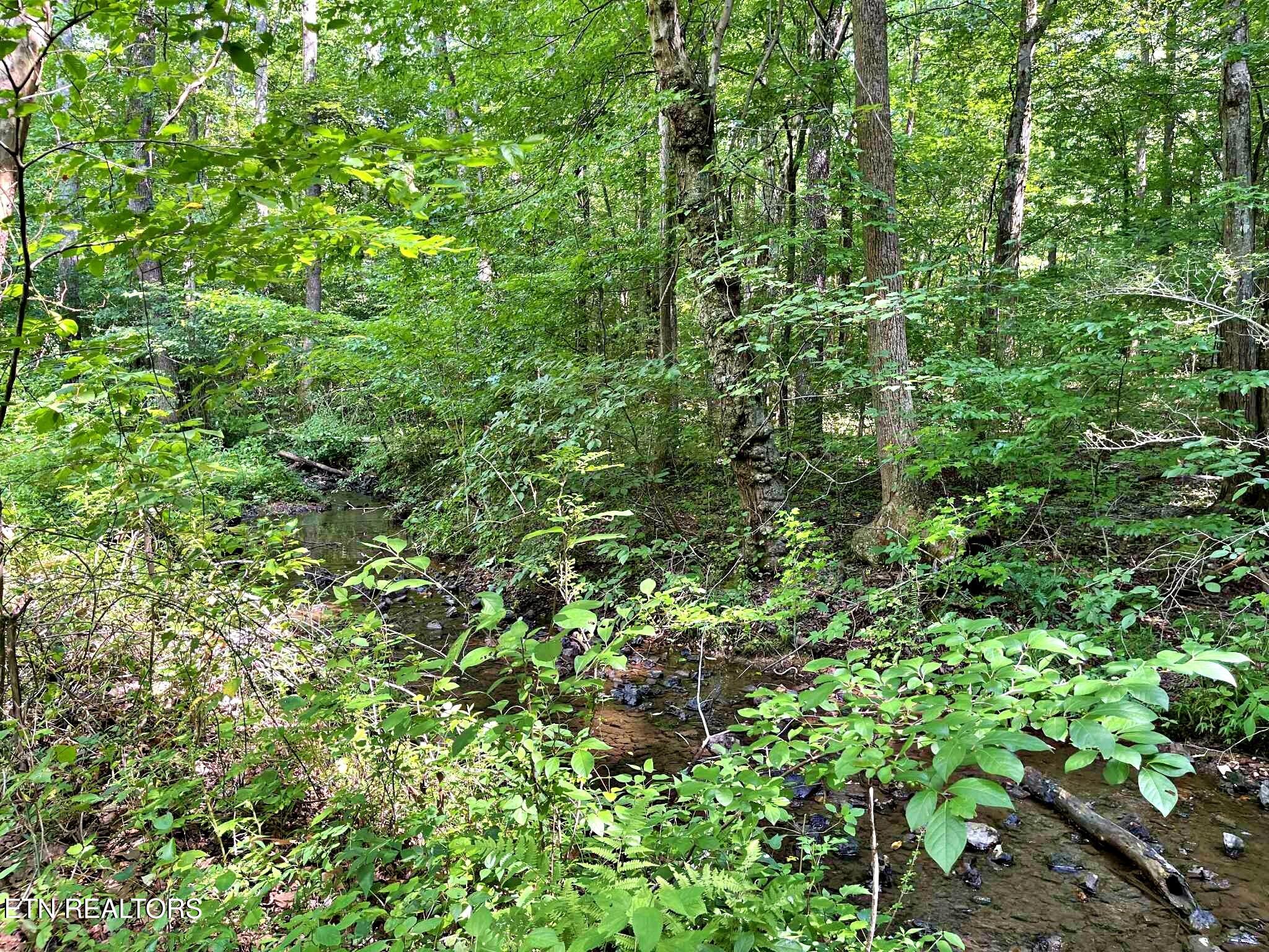 Lot 7 Raby Hollow Road Kingston, TN 37763 - Photo 5 of 12 e24e77f7-7576-41aa-a14e-e218a3eda1dc