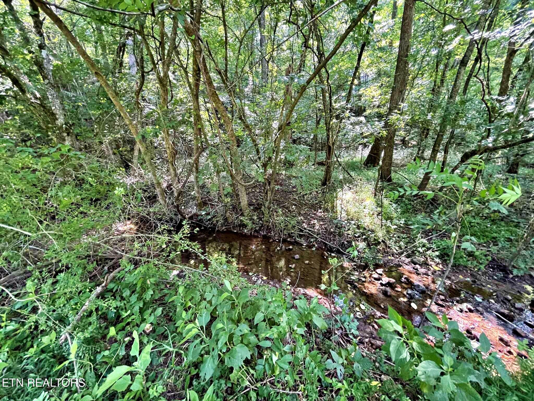 Lot 7 Raby Hollow Road Kingston, TN 37763 - Photo 6 of 12 3d6db542-e151-4509-a9a7-9d2be12e437e