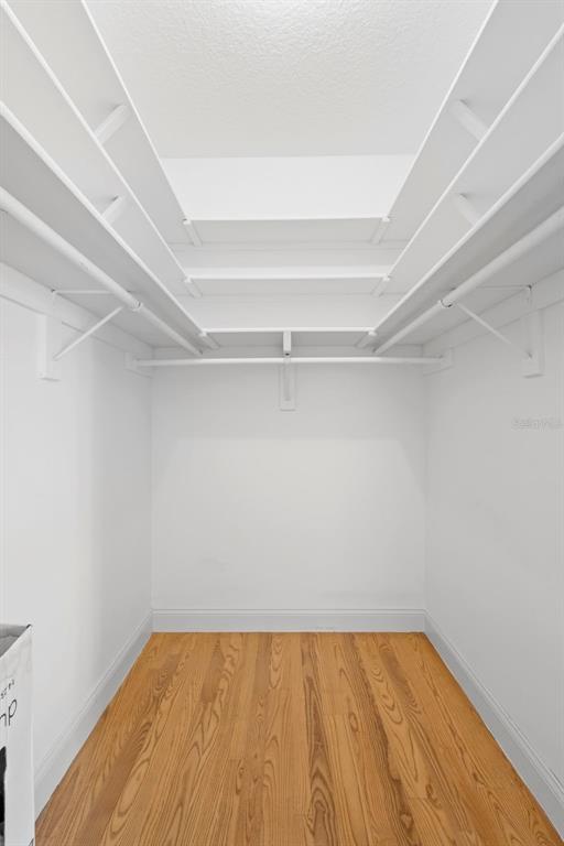 42554 Maggie Jones Road Paisley, FL 32767 - Photo 22 of 58