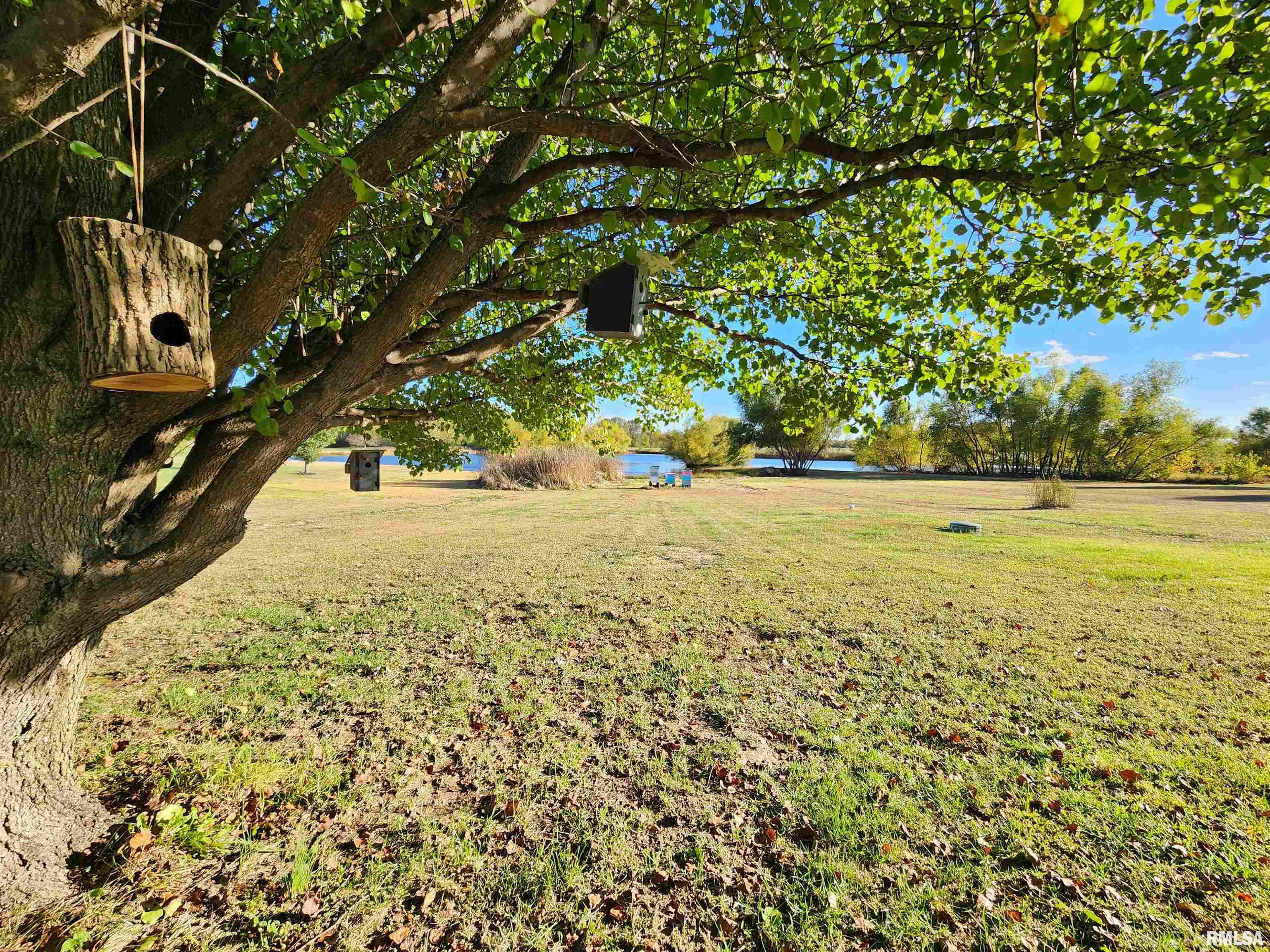 156 Hanover Lane Murphysboro, IL 62966 - Photo 56 of 62