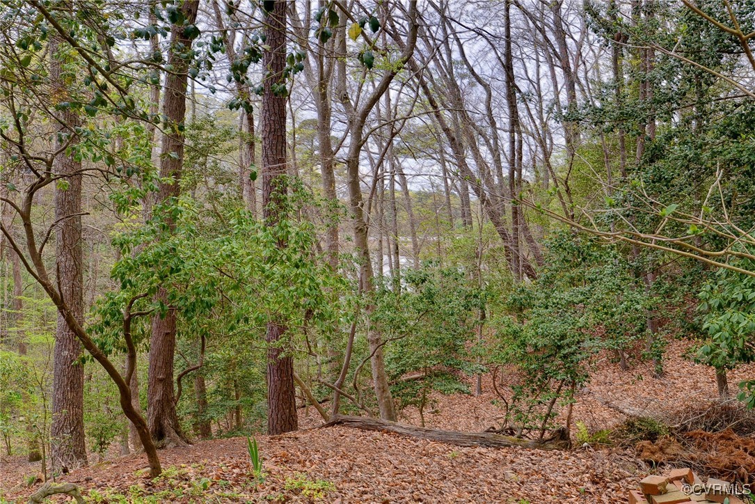 126 Crownpoint Road Williamsburg, VA 23185 - Photo 44 of 50