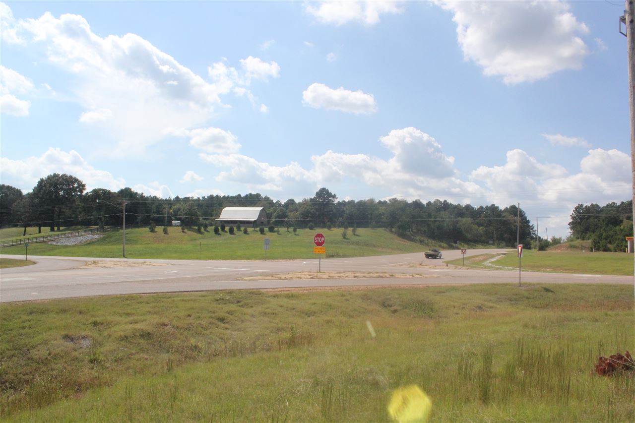0 Highway 7 N Road Holly Springs, MS 38635 - Photo 2 of 13 Gallery Image 2