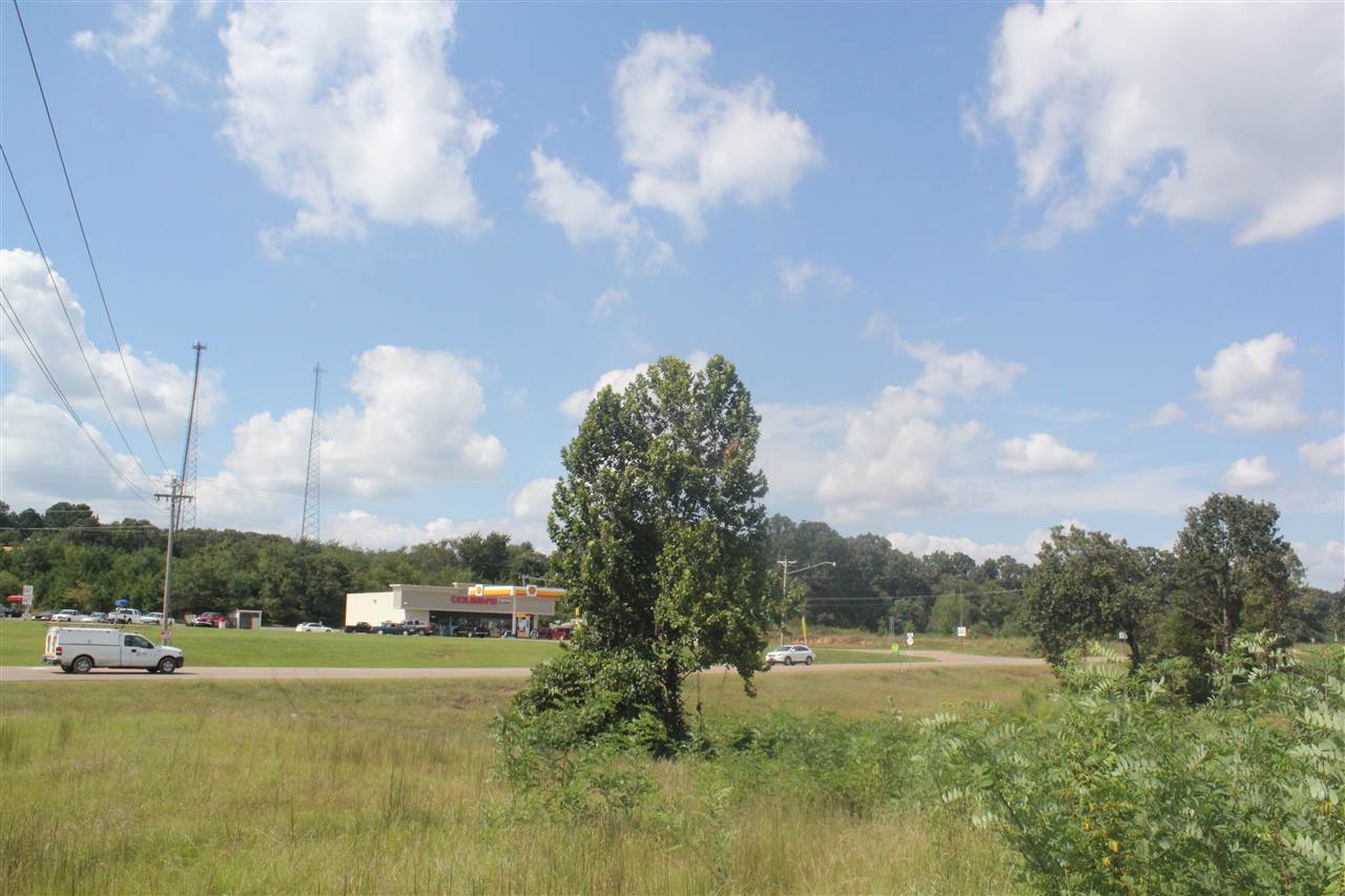 0 Highway 7 N Road Holly Springs, MS 38635 - Photo 3 of 13 Gallery Image 3