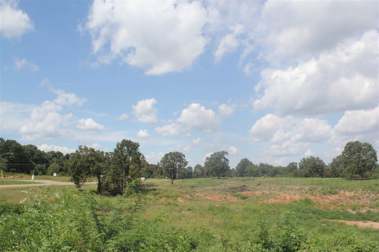 0 Highway 7 N Road Holly Springs, MS 38635 - Photo 4 of 13 Gallery Image 4